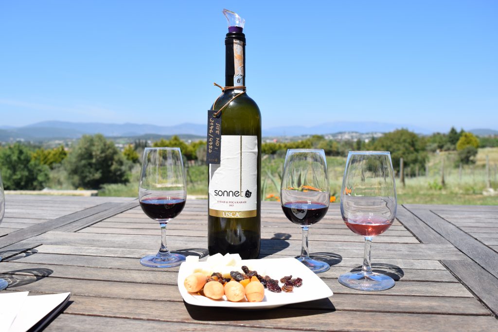 syrah foça karası usca