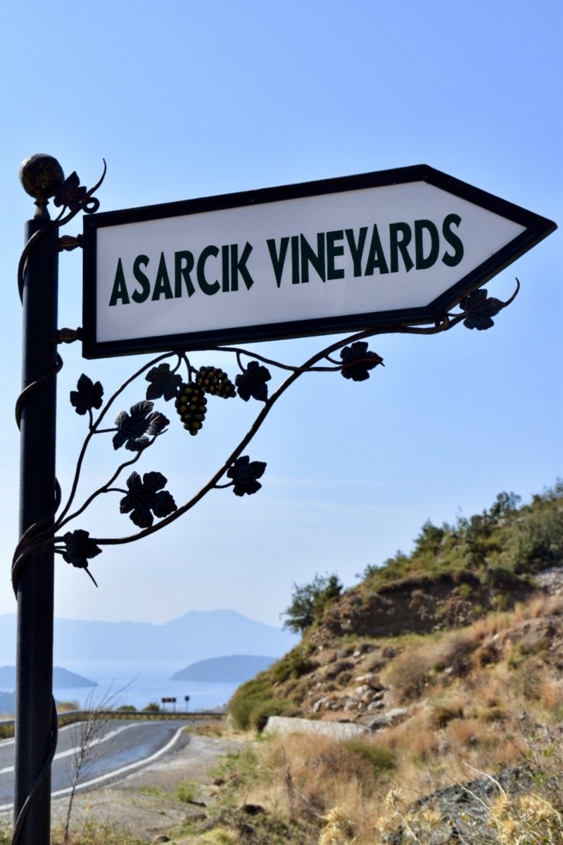 asarcık şarapları